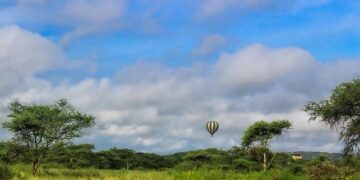 Air Tanzania to Launch Dar es Salaam-Cape Town Service – AirlineGeeks.com