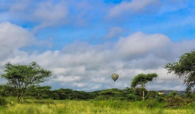 Air Tanzania to Launch Dar es Salaam-Cape Town Service – AirlineGeeks.com