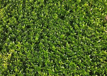 Weather Today in Minato-ku, Tokyo Prefecture 107-0052, Japan – The Weather Channel