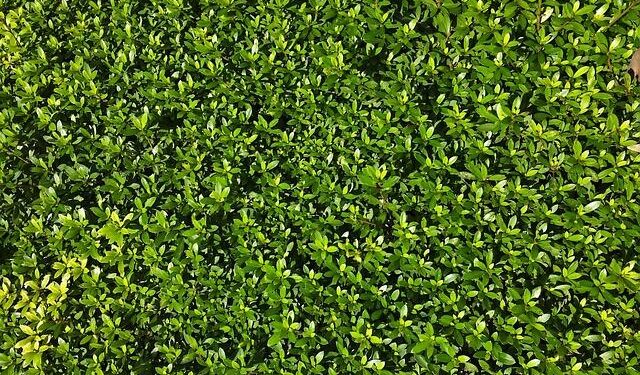 Weather Today in Minato-ku, Tokyo Prefecture 107-0052, Japan – The Weather Channel