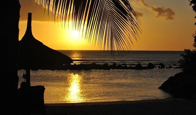 PAL to start Manila-Palau route by March 2026 – Philstar.com