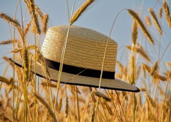 Taste the Season: 101 Moments of Summer Enchantment at Four Seasons Hotel Hangzhou at Hangzhou Centre – Four Seasons Press Room