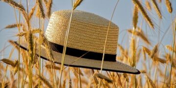 Taste the Season: 101 Moments of Summer Enchantment at Four Seasons Hotel Hangzhou at Hangzhou Centre – Four Seasons Press Room