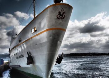 China Merchants expands shipbuilding portfolio with Qingdao Yangfan acquisition – Lloyd’s List