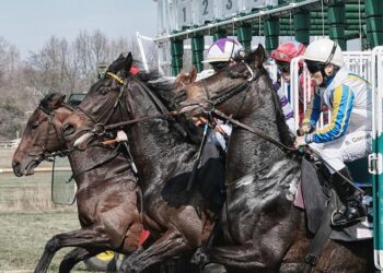 Last Friday belonged to after work. You’ll want to be at the next one – thecitizen.co.tz