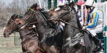 Last Friday belonged to after work. You’ll want to be at the next one – thecitizen.co.tz