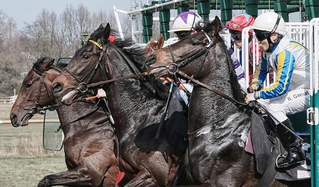 Last Friday belonged to after work. You’ll want to be at the next one – thecitizen.co.tz