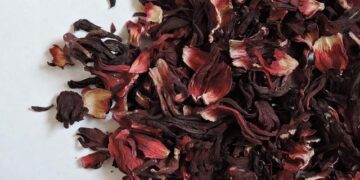 Over 700 Sudanese displaced in one day in Kordofan region amid growing insecurity: UN – Anadolu Ajansı