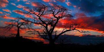 Is Angola Safe? Crime Rates & Safety Report – Travel Safe – Abroad