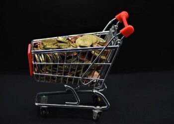 US-Singapore joint venture VAL invests $100 mln to expand soybean crushing capacity in southern Vietnam – Theinvestor