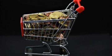 US-Singapore joint venture VAL invests $100 mln to expand soybean crushing capacity in southern Vietnam – Theinvestor