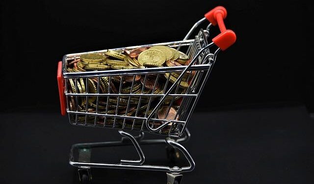 US-Singapore joint venture VAL invests $100 mln to expand soybean crushing capacity in southern Vietnam – Theinvestor