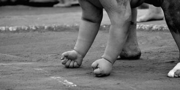 Sumo: Newly built IG Arena readying for big opening with Nagoya meet – Japan Wire by KYODO NEWS