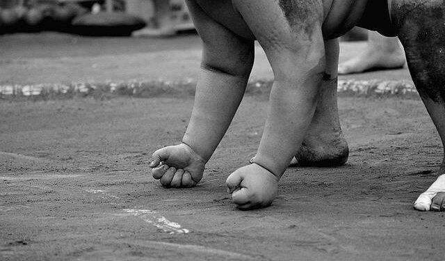 Sumo: Newly built IG Arena readying for big opening with Nagoya meet – Japan Wire by KYODO NEWS