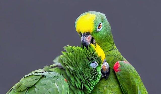 Xylem and Amazon Partner on Smart Water Upgrades to Save More Than 1.3 Billion Liters Annually in Mexico – Business Wire