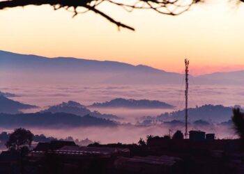 Việt Nam-Algeria friendship a priceless asset: Algerian President – vietnamnews.vn