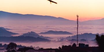 Việt Nam-Algeria friendship a priceless asset: Algerian President – vietnamnews.vn