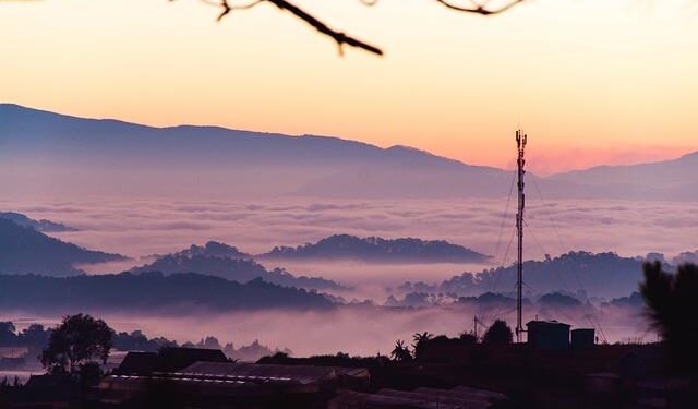 Việt Nam-Algeria friendship a priceless asset: Algerian President – vietnamnews.vn