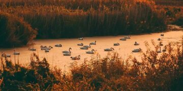 Joint vs. Tomljanovic | Qualifying 2025 AUX · NINGBO OPEN 2025 – WTA Tennis