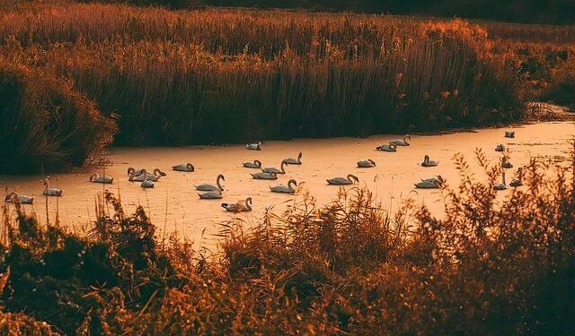 Joint vs. Tomljanovic | Qualifying 2025 AUX · NINGBO OPEN 2025 – WTA Tennis