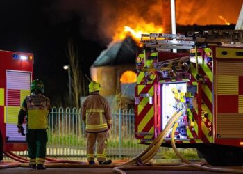 Johannesburg building fire: South African report blames lack of affordable housing – BBC