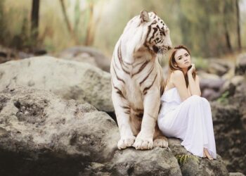 Bengal Tiger at the Baghdad Zoo review – wild horror and sharp-toothed comedy from the Iraq war – The Guardian