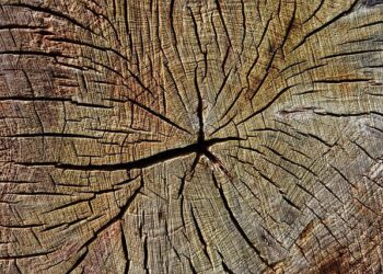 16-Year-Old Boy Killed In Classroom Knife Attack At Pune Coaching Centre – NDTV