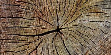 16-Year-Old Boy Killed In Classroom Knife Attack At Pune Coaching Centre – NDTV