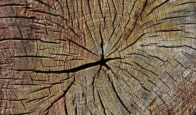 16-Year-Old Boy Killed In Classroom Knife Attack At Pune Coaching Centre – NDTV