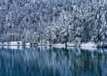 Jimmy Lai Is a Martyr for Freedom – Reason Magazine