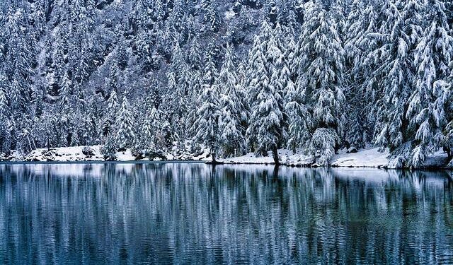 Jimmy Lai Is a Martyr for Freedom – Reason Magazine