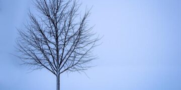 Christmas week to be chilly and damp in New York and New Jersey – PIX11