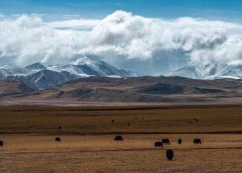 Xi urges concerted efforts to better build beautiful Xinjiang – People’s Daily