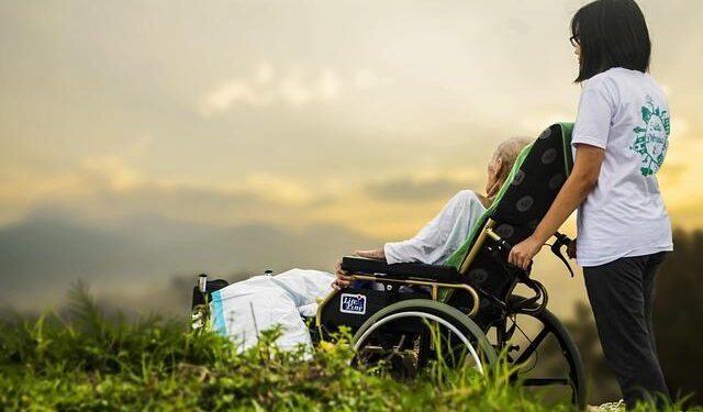 The 4E theory-based performance benchmarking of aged care service provision in community care facilities: a case study of Nanjing, China – Frontiers