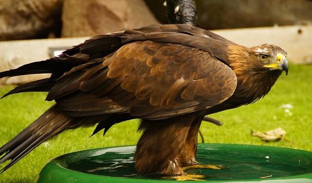 Soak Up the Decadent Footbath Culture of China’s ‘Foot Capital’ – The World of Chinese