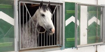 ‘More to come’: US signals expanded strikes on ISIS in Nigeria as Abuja talks of ‘joint ongoing ops’ – Firstpost