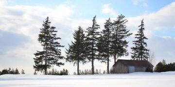 Air Canada Keeps Quiet Over Flight Restriction Proposal To One Of Its Biggest Hubs – TheTravel