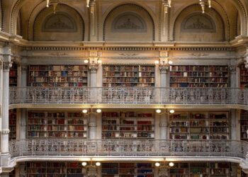 What really happened to the Library of Alexandria? These are the theories. – National Geographic