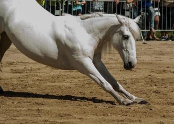 Standard Chartered’s newest private banking MD got a promotion after leaving Hong Kong – eFinancialCareers