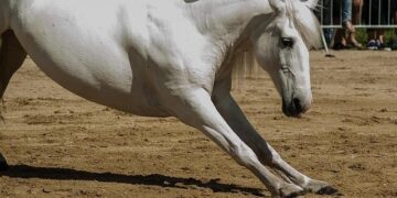 Standard Chartered’s newest private banking MD got a promotion after leaving Hong Kong – eFinancialCareers