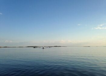 Emission characteristics of indoor HONO from residential natural gas cooking stoves in a household in Kunming, China – ScienceDirect.com