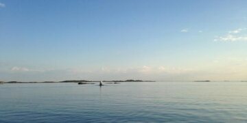 Emission characteristics of indoor HONO from residential natural gas cooking stoves in a household in Kunming, China – ScienceDirect.com