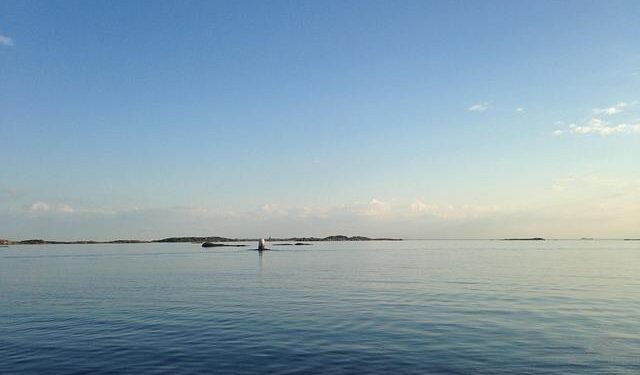 Emission characteristics of indoor HONO from residential natural gas cooking stoves in a household in Kunming, China – ScienceDirect.com