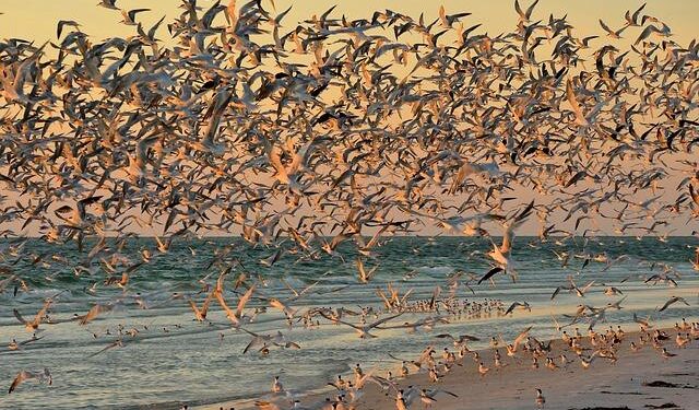 Devastating Flight Chaos in August New Updates: China Southern, China Eastern, Hainan, Shenzhen, and Air China Cancel Hundreds of Flights to Tokyo, Changchun, Beijing, Shanghai And More, Stranding Thousands of Passengers – Travel And Tour World