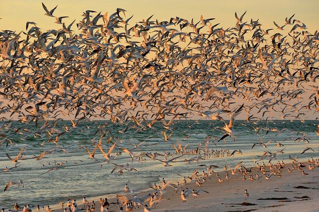 Devastating Flight Chaos in August New Updates: China Southern, China Eastern, Hainan, Shenzhen, and Air China Cancel Hundreds of Flights to Tokyo, Changchun, Beijing, Shanghai And More, Stranding Thousands of Passengers – Travel And Tour World