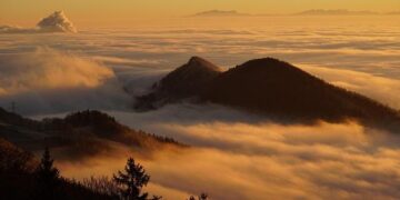 Fog disrupts flight operations across Pakistan – The Nation (Pakistan )