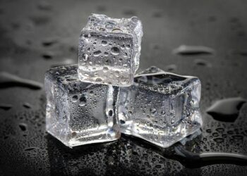 Having fun on ice – Global Times