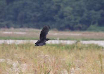 China Yiwu and Shantou Toys Markets: 2025 Guide – vocal.media