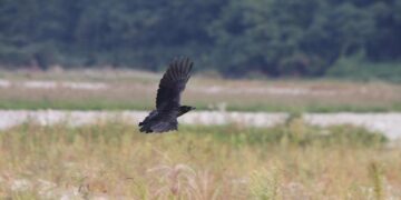 China Yiwu and Shantou Toys Markets: 2025 Guide – vocal.media