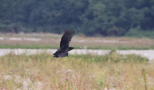 China Yiwu and Shantou Toys Markets: 2025 Guide – vocal.media